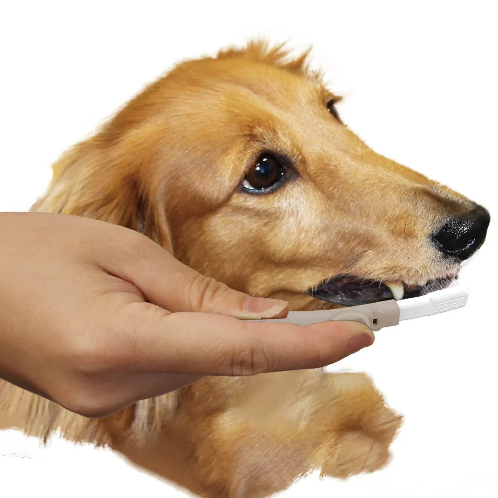 10% OFF: DoggyMan Gentle Dog Toothbrush