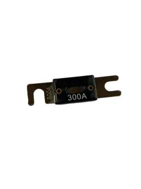 300A Fuse