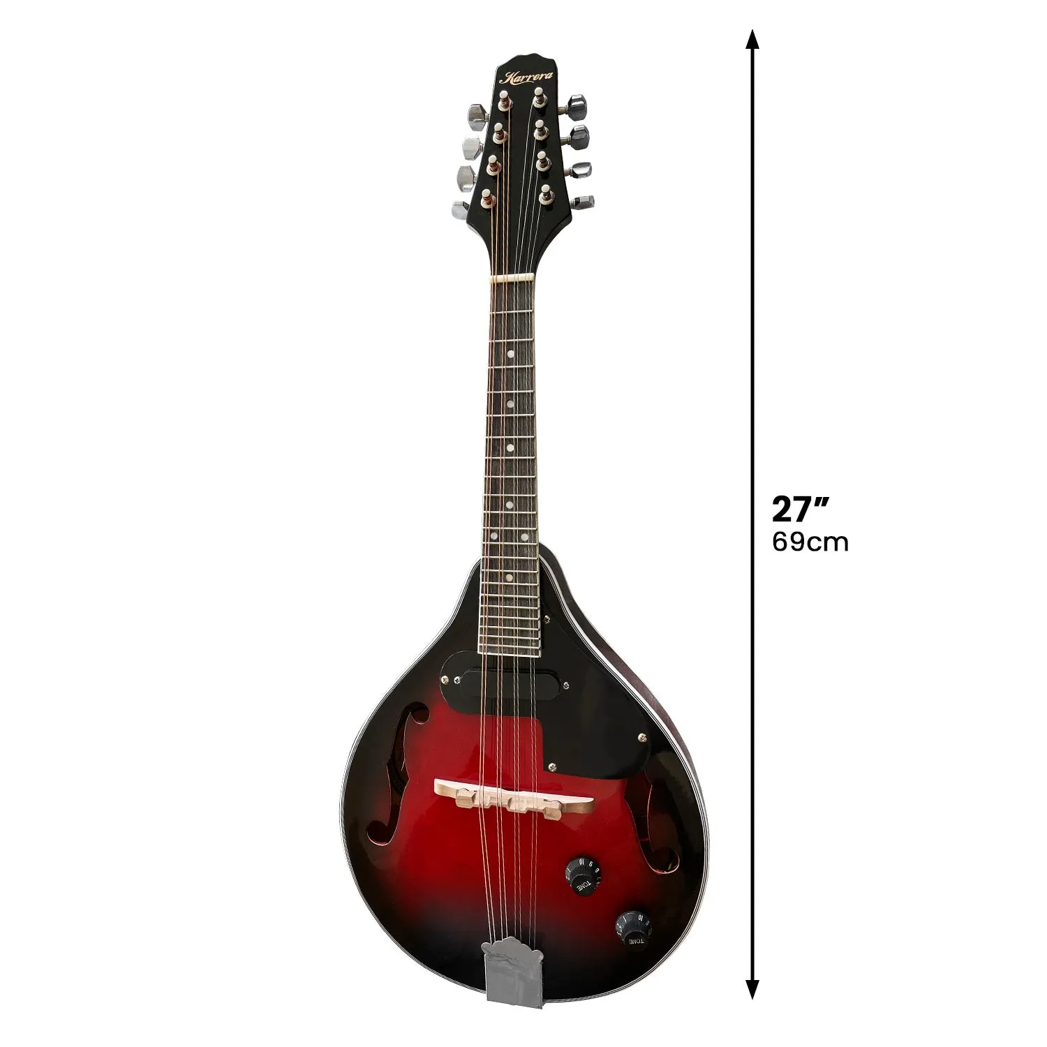 8-String Electric Mandolin, High-Gloss Finish, with Accessories