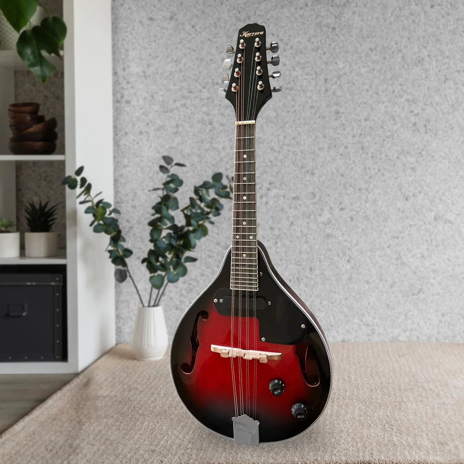 8-String Electric Mandolin, High-Gloss Finish, with Accessories