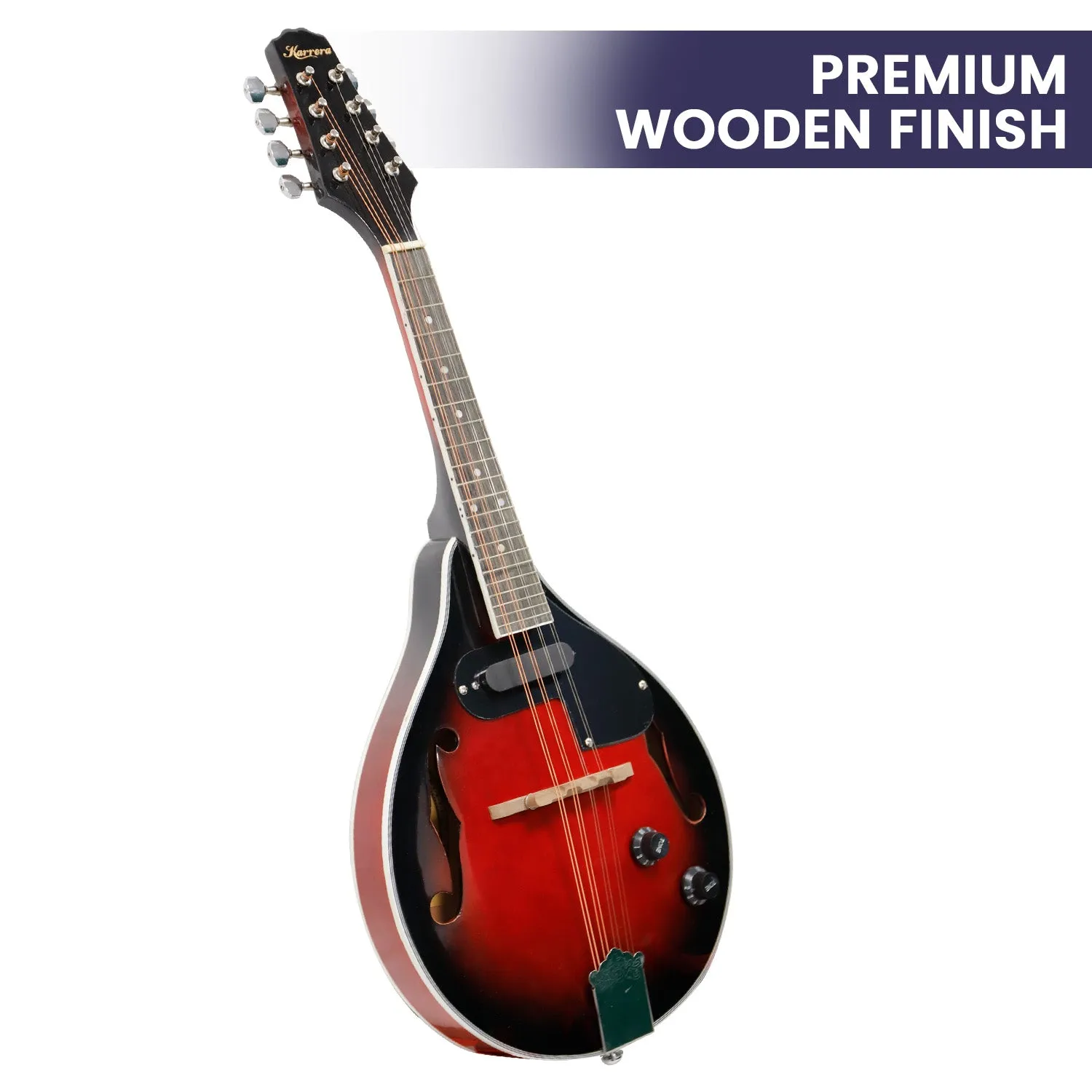 8-String Electric Mandolin, High-Gloss Finish, with Accessories