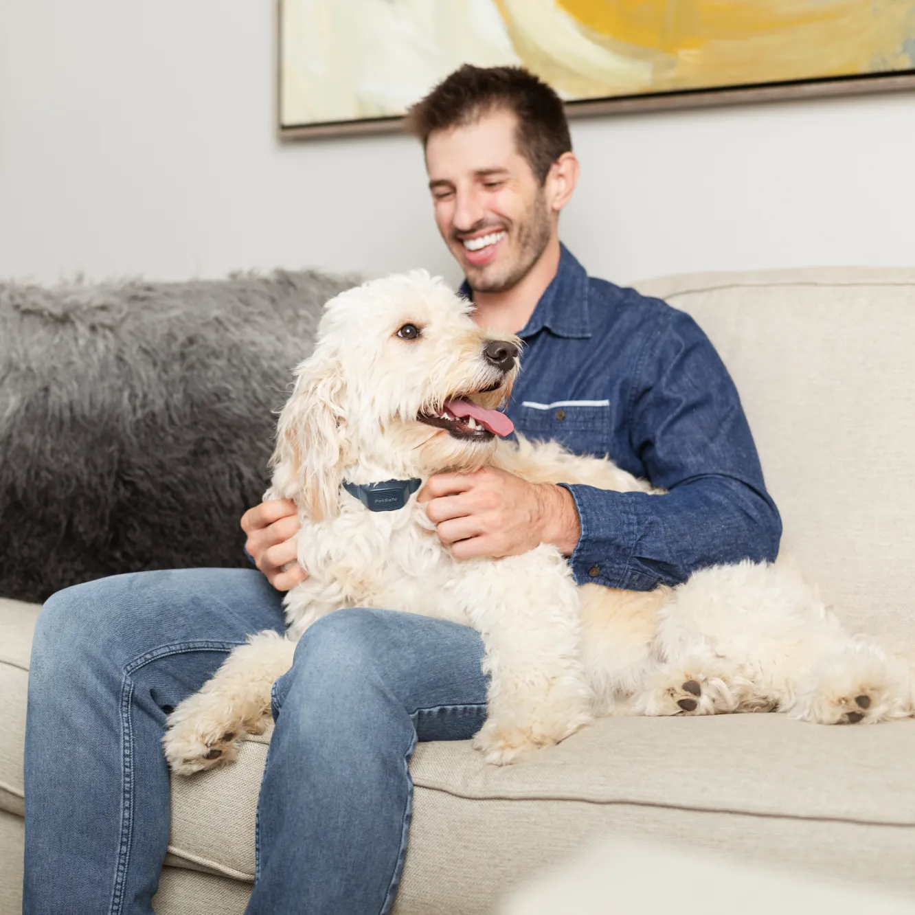 Audible Bark Collar