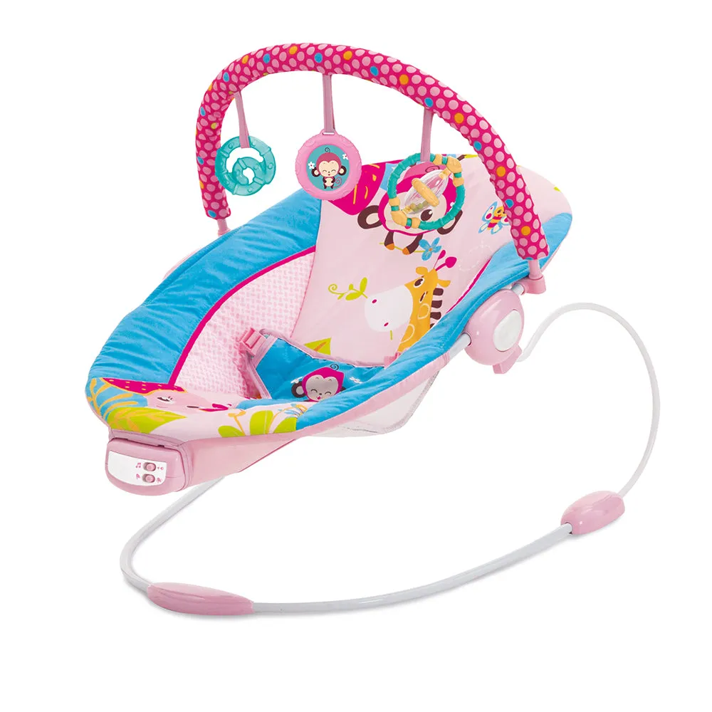 Mastela Music Vibrations Bouncer - Birth - 6M