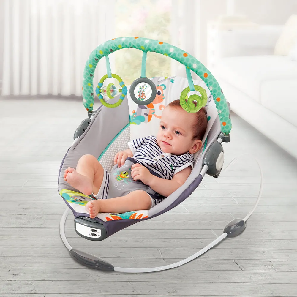 Mastela Music Vibrations Bouncer - Birth - 6M