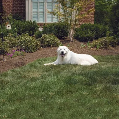 Outdoor Bark Control