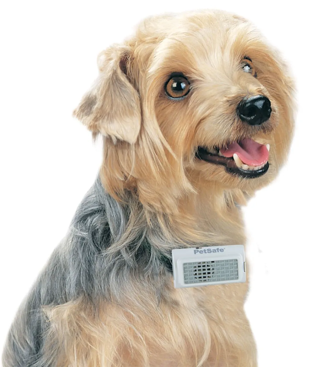 PetSafe Ultrasonic Bark Control Collar