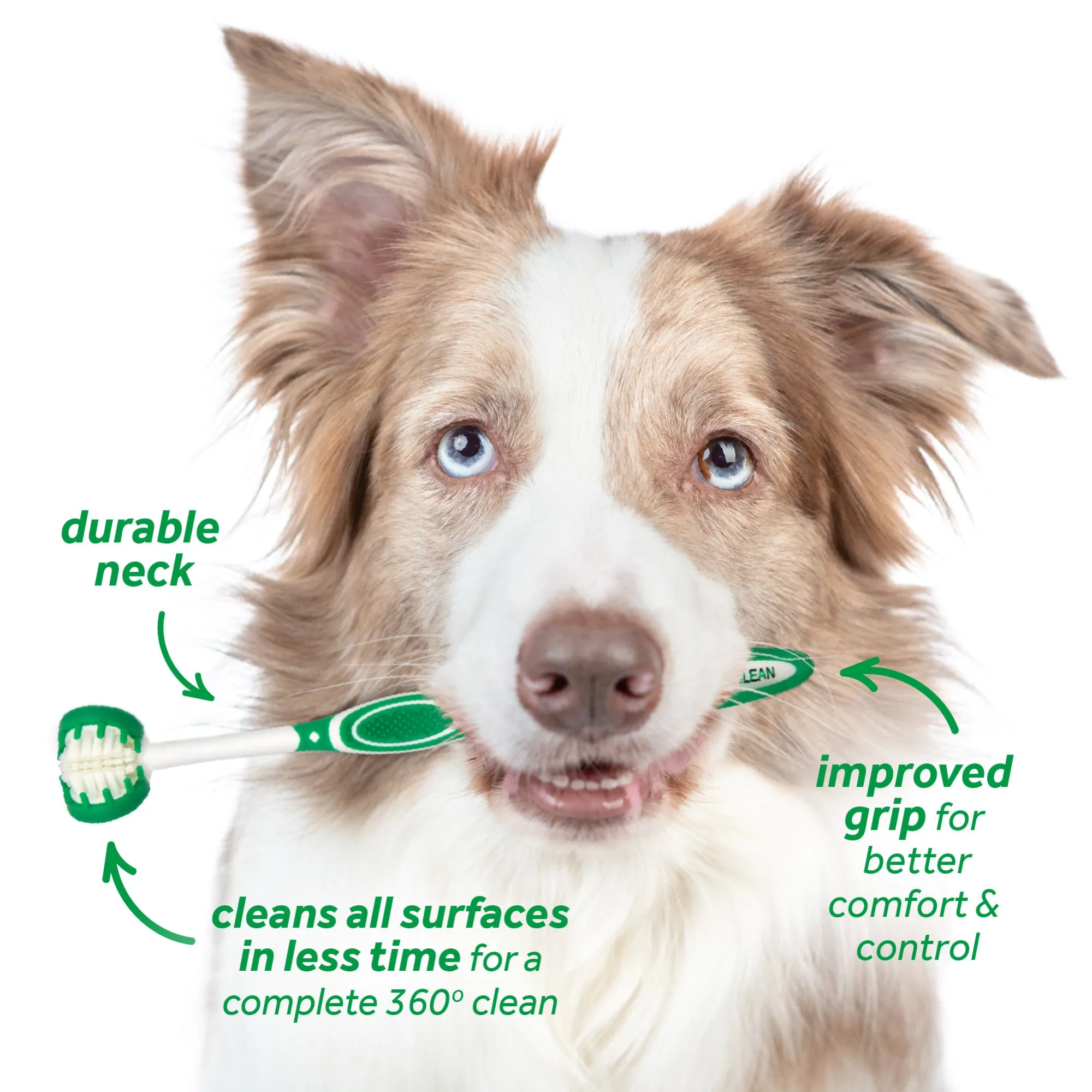 TropiClean Fresh Breath Oral Care Kit for Large Dogs