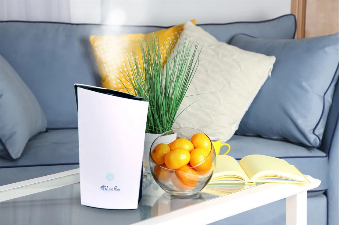 Ultrasonic Cool Mist Humidifier